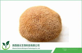 猴頭菇多糖及提取物 工廠直供價(jià)格與市場前景解析